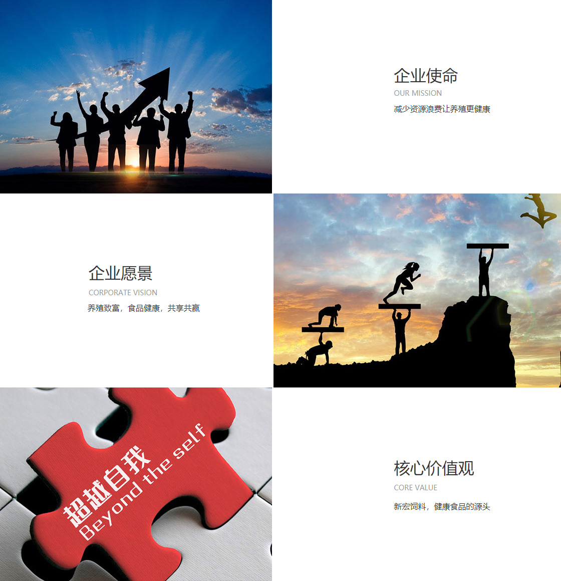 J9九游会老哥俱乐部官方(图1)